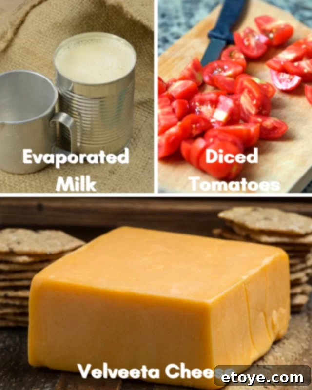Quick Microwave Queso Dip 3 A selection of fresh ingredients laid out for making microwave queso dip, including a block of Velveeta cheese, a can of evaporated milk, and a can of diced tomatoes.