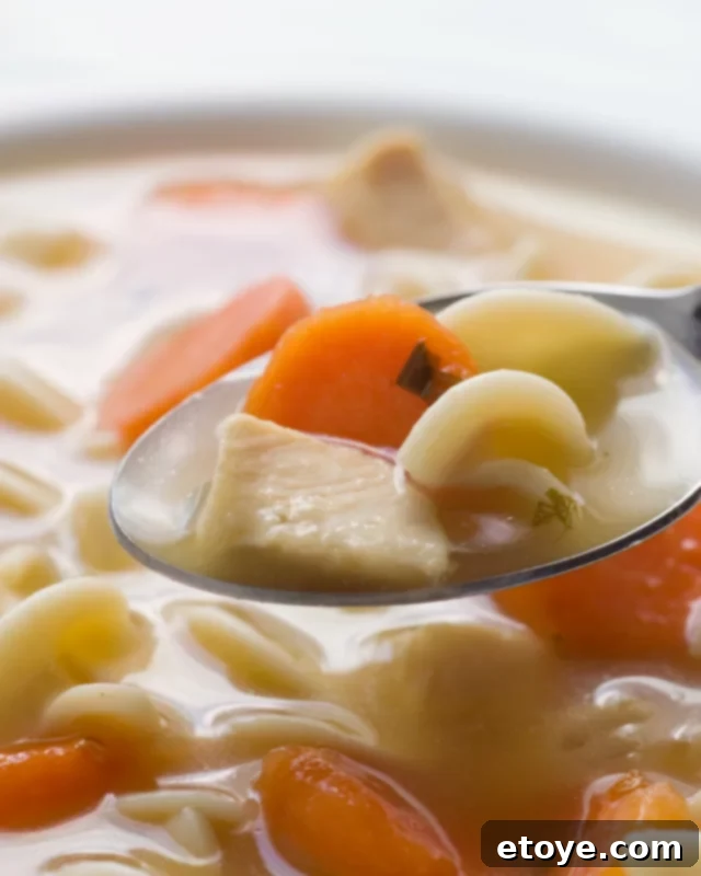 A spoonful of chicken noodle soup, showing the blend of noodles, carrots, and broth, ready to be tasted.