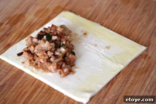 Chinese Pastries with Hoisin Chicken Chinese Pastries with Hoisin Chicken