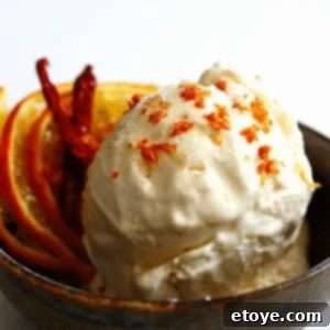 Sweet Heat Orange Ricotta Frozen Yogurt 2 Orange-Chilli-Ricotta Frozen Yogurt scoop