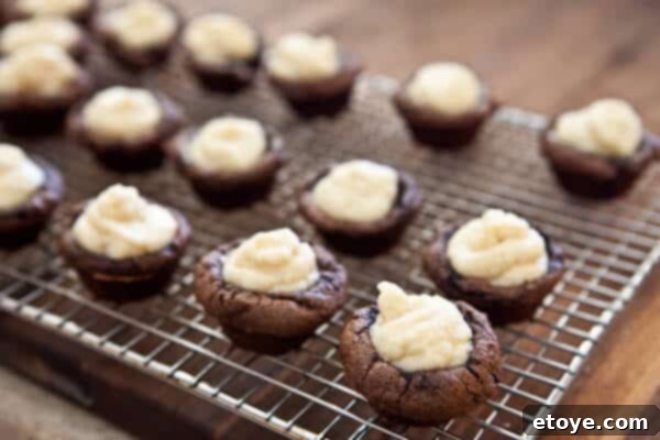 Whipped cream being added as the top layer of the Tiramisu cupcake