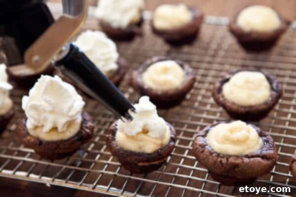 Tiramisu cupcakes topped with shaved chocolate, ready to serve