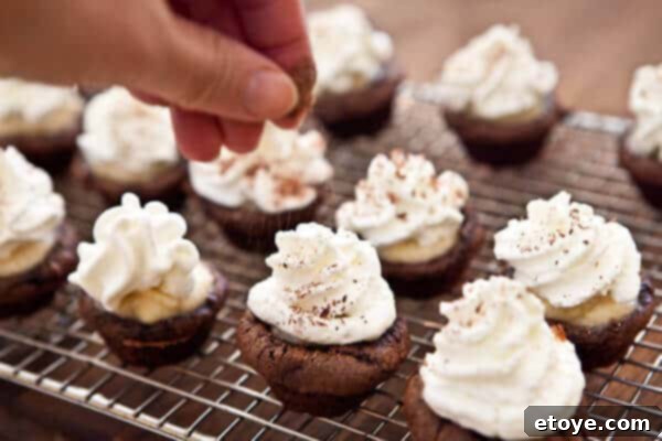 A beautifully arranged plate of finished Tiramisu Cupcakes