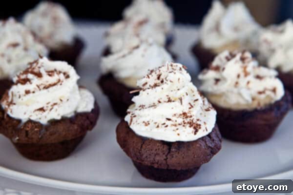 Another angle of the finished Tiramisu Cupcakes, showcasing their layers