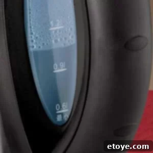 electric-hot-water-kettle-aroma-2 Electric Hot Water Kettle Aroma 2