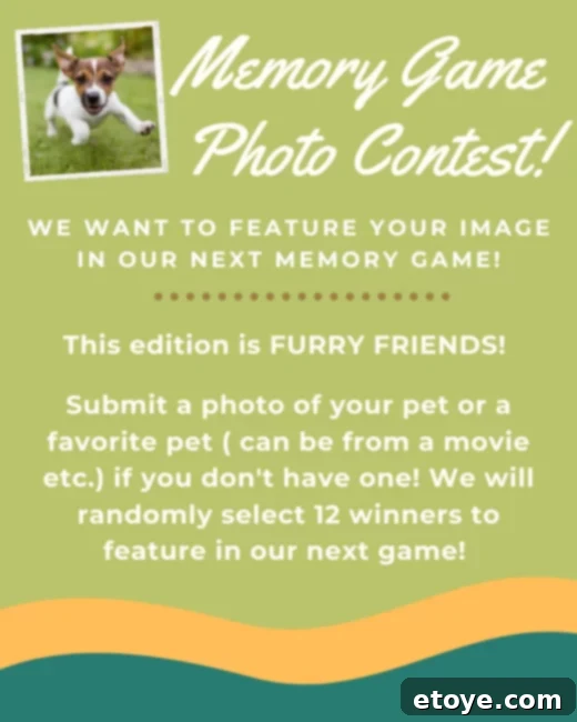 Memory Card Photo Contest