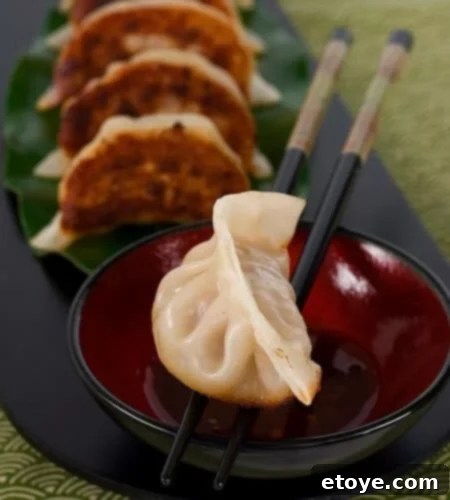 Crispy Pan Fried Shrimp and Pork Potstickers