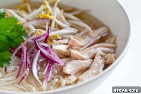 bowl of slow cooker vietnamese chicken pho