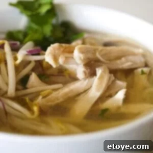 Pho Ga Vietnamese Chicken Noodle Comfort 9 Vietnamese Chicken Pho (Pho Ga)