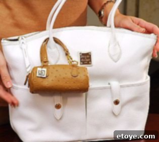 Lori Greiner Kitchen and Beauty Products Giveaway 6 Cell Phone Bags