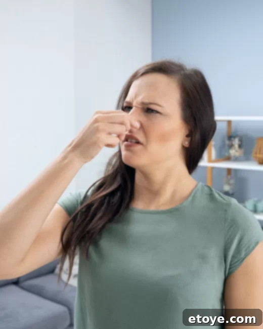 Breathe Healthier: Air Purifier Giveaway 4 Neutralize Bad Smells with Air Purifier