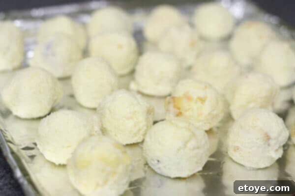 Graham cracker crumbs ready for coating cheesecake balls