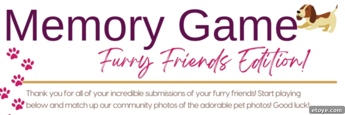 Cute Critter Match 2 Furry Friends Memory Game: Adorable Pet Pairs