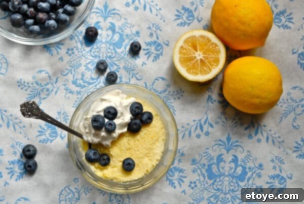 Meyer Lemon Cloud Pudding - A delightful spring dessert with lemon whipped cream and fresh blueberries