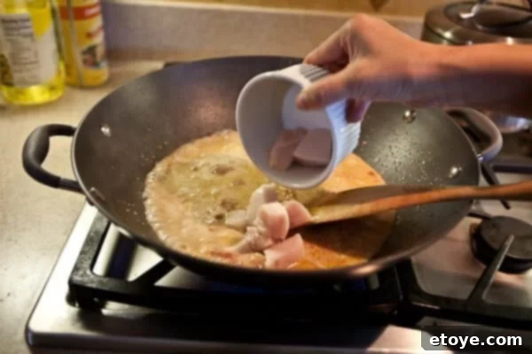 Coastal Indian Fish Curry 14 Fish chunks simmering in the coconut curry