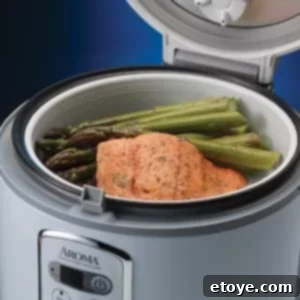 aroma-rice-cooker-4