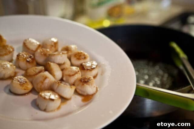 Seared and Sauced Scallops for the Creamy Scallops and Peppers Recipe Seared and Sauced Scallops for the Creamy Scallops and Peppers Recipe