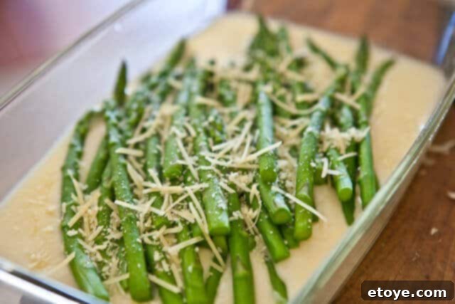 Asparagus Gratin recipe - parmesan topping Asparagus Gratin recipe - parmesan topping