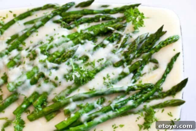 Asparagus Gratin recipe - bake until golden Asparagus Gratin recipe - bake until golden