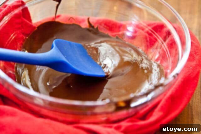 Turtle Cheesecake Pops Truffles Recipe-8373 Melted chocolate Turtle Cheesecake Pops Truffles Recipe