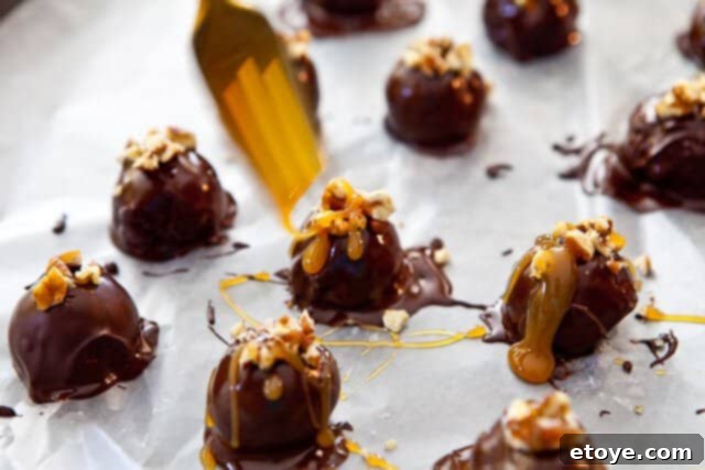 Turtle Cheesecake Pops Truffles Recipe-8382 drizzle Turtle Cheesecake Pops Truffles Recipe