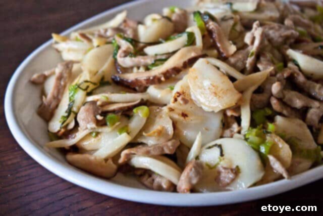 Savory Nian Gao Stir-Fry 2 A beautifully presented plate of stir-fried Chinese sticky rice cakes with pork and vegetables.