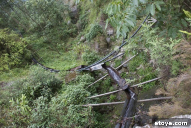 Mastering the Craft of Tea Appreciation 11 Irrigation – looking down the slope of one of Darjeeling’s many hills.