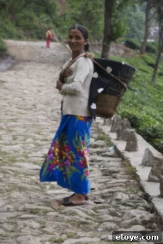 Mastering the Craft of Tea Appreciation 12 A tea plucker about to make her way out to pluck tea in Assam, India.