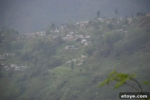 Mastering the Craft of Tea Appreciation 13 A view of Darjeelingtown, India.