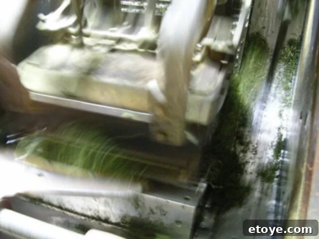 Mastering the Craft of Tea Appreciation 18 A green tea “CTC Machine” which takes whole leaves of tea and cuts, tears and curls them so that they can fit in a traditional teabag.