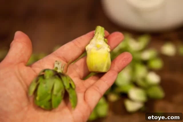 A baby artichoke after outer leaves have been peeled, revealing the tender core.