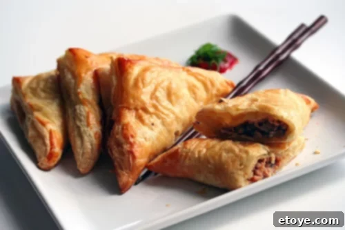 Chinese Pastries with Hoisin Chicken - Savory and sweet Asian inspired pastries.