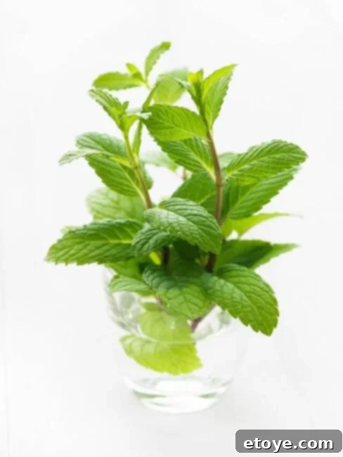 Fresh mint leaves, a key ingredient for the refreshing carrot pea salad.