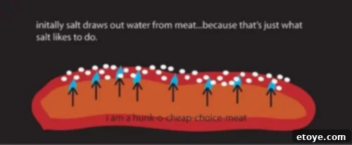 Illustration showing the effect of salting meat just before cooking