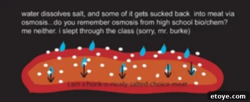 Illustration showing the limited penetration of salt when applied immediately before cooking
