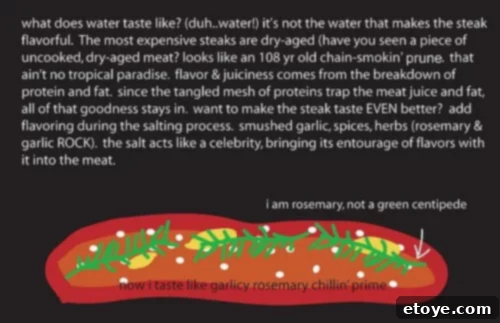 Diagram showing the reabsorption of moisture and salt into the steak