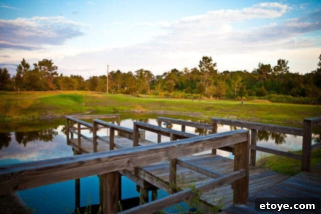 Lush green property with trees, indicating a serene rural setting