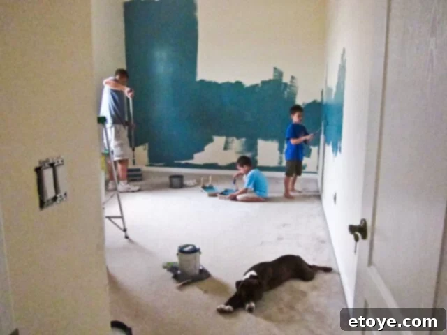 A cute dog, Coco, resting against a freshly painted wall, supervising renovation
