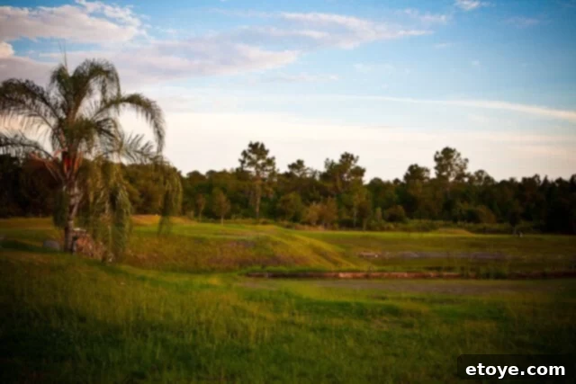 Expansive green golf course with trees under a clear sky