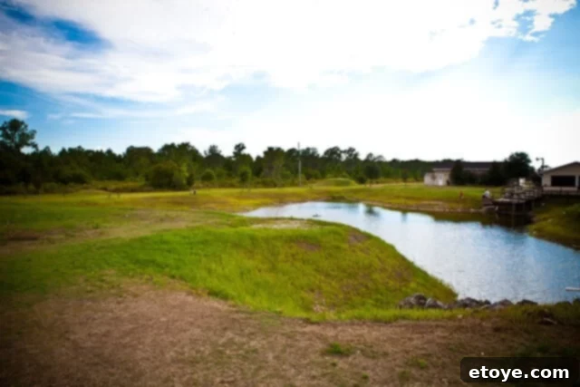A peaceful fishing pond surrounded by lush greenery and trees