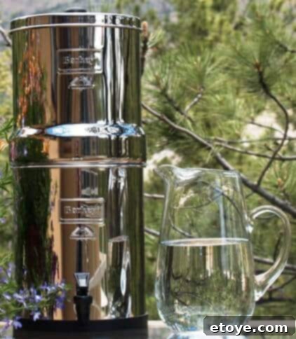 travel Berkey Travel Berkey Portable Water Filter