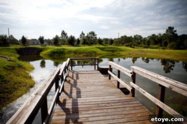 Primal Feast 2 A serene view of a private pond at a newly acquired property, reflecting the sky and surrounding greenery, hinting at the aquatic life within.