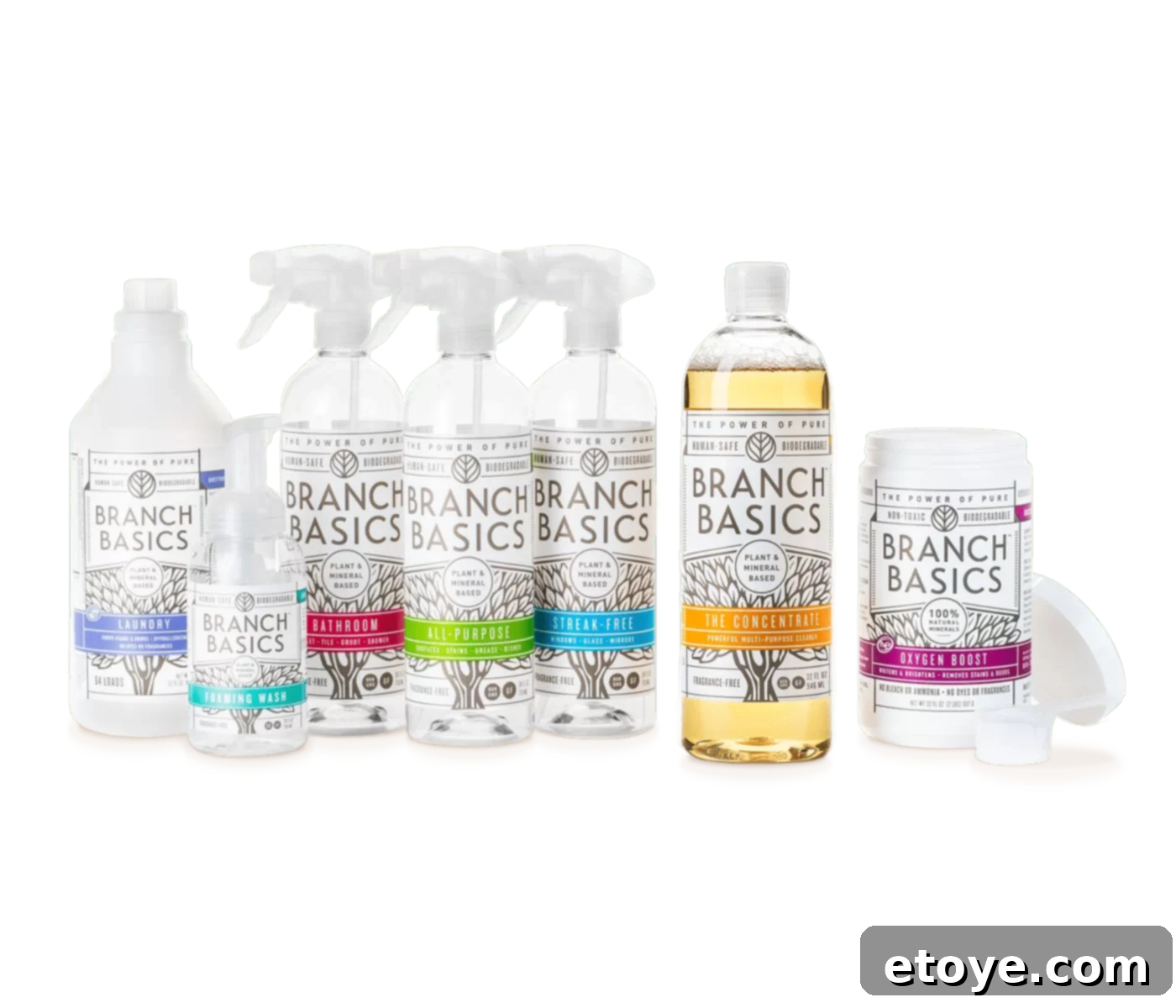 Dream Clean 100 Home Cleaning Bundle 4 Benefits of Branch Basics non-toxic cleaning products