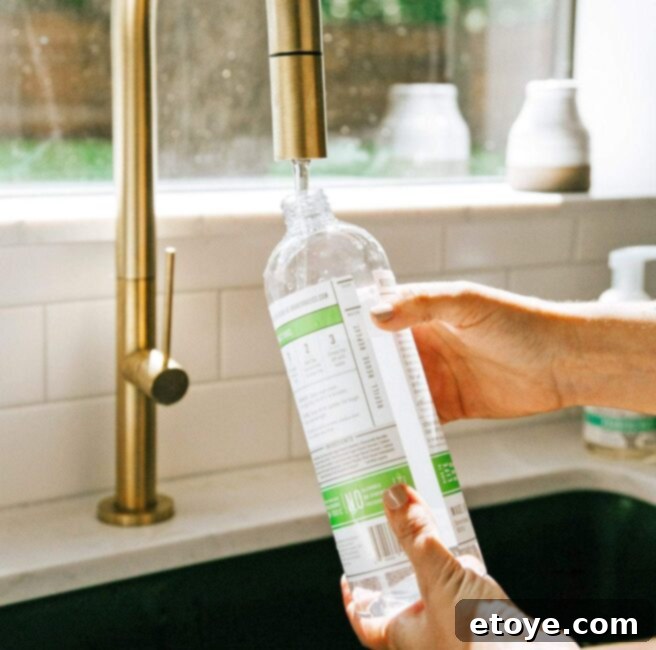 Dream Clean 100 Home Cleaning Bundle 6 Cleaning tips from Branch Basics