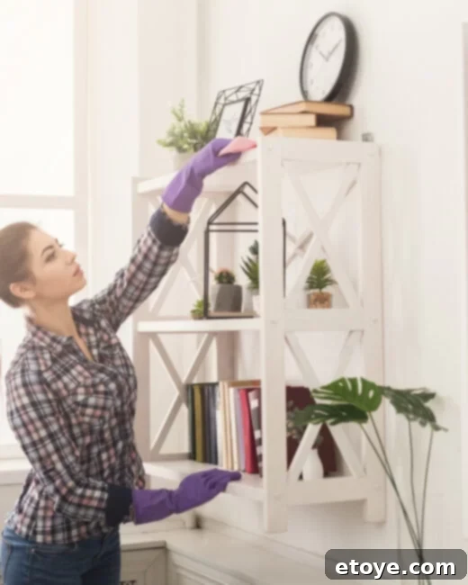 Enter to win the Dream Clean Home Cleaning Bundle