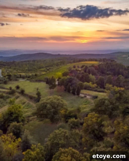 Win Your Own Holy Stone HS140 Drone Camera 4 Holy Stone HS140 Drone being launched by a user