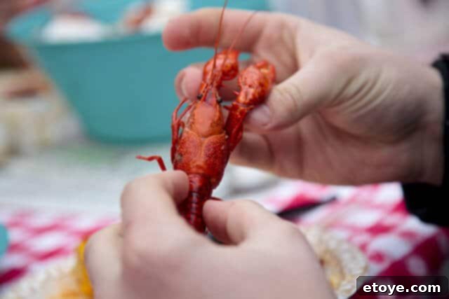 MacheCrawfishBoilHands Messy hands and laughter at a Mache Crawfish Boil