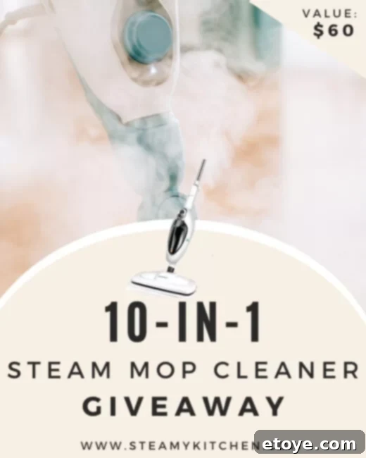 Ultimate 10 in 1 Steam Cleaner Giveaway 3 Close-up of a versatile steam cleaner with various attachments