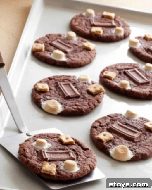 Chocolate Cake S'mores Cookies