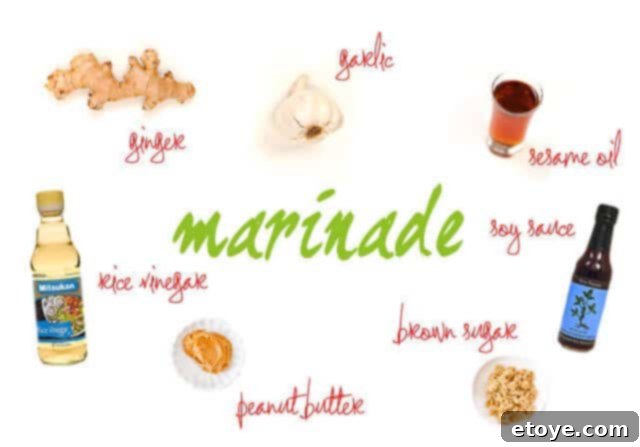 Savory Peanut Chicken Skewers 3 Ingredients for chicken satay marinade